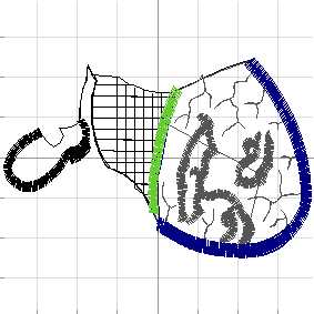 Abstract 7 (6)