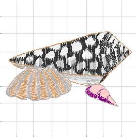 Shells