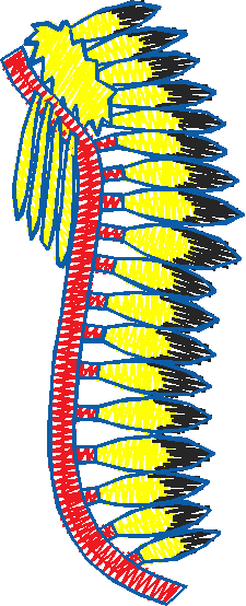 America 1 (25)