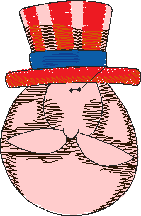America 6  (17)