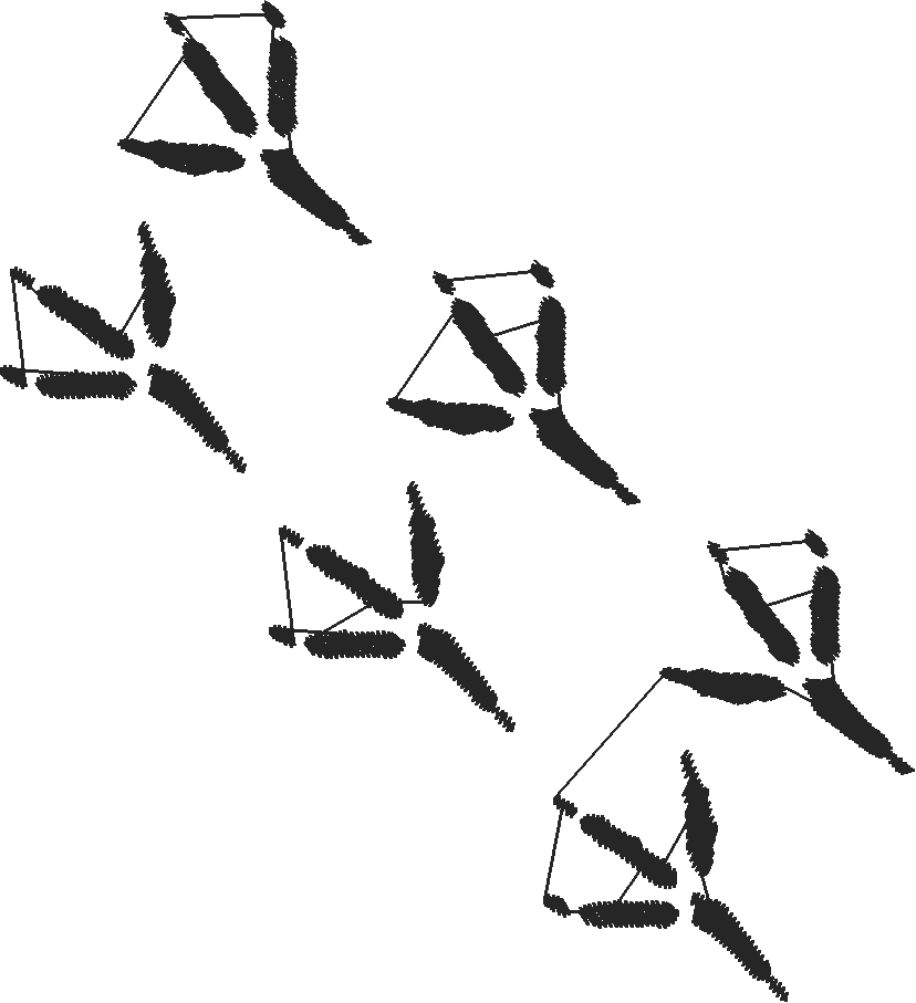 Crowwalking