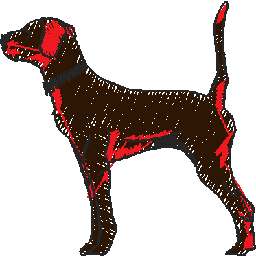 Animals 1 (7)