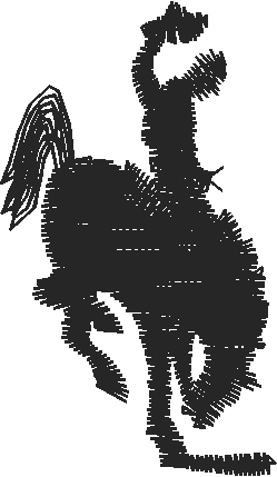 Animals 11   Horses  (53)