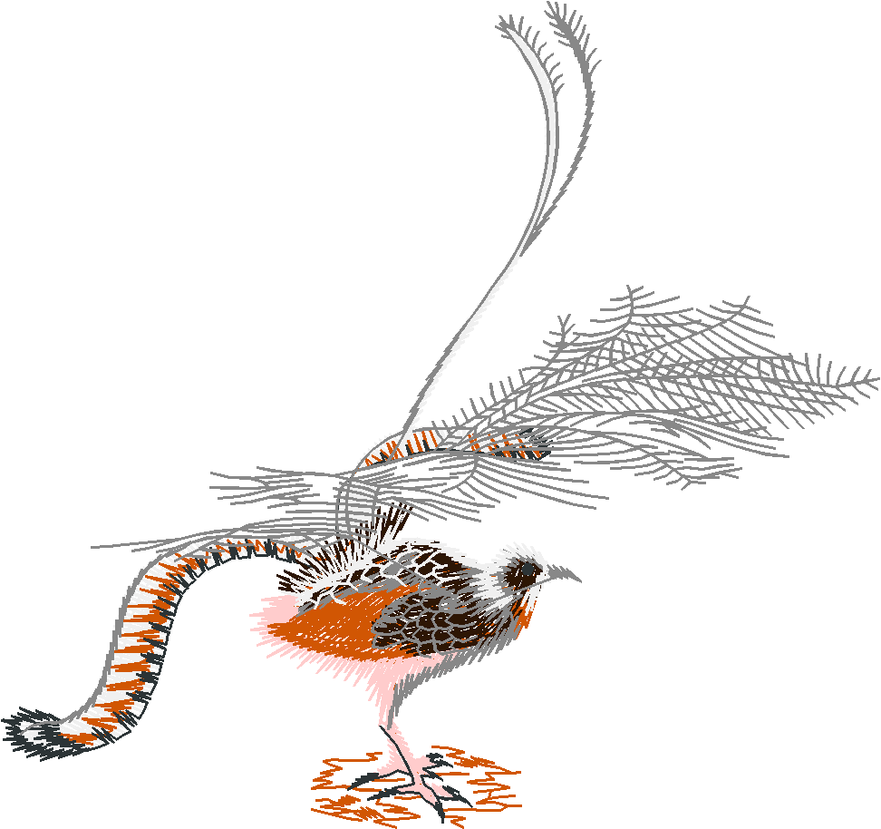 Animals 25   Wildlife 05  (18)