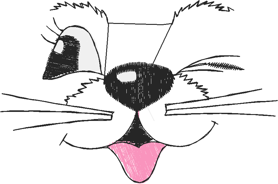 Animals 7 (11)