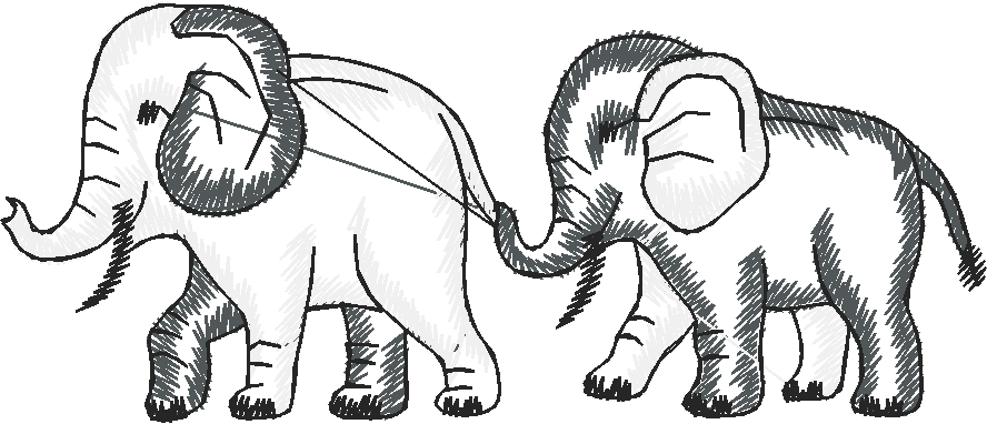 Animals 7 (3)
