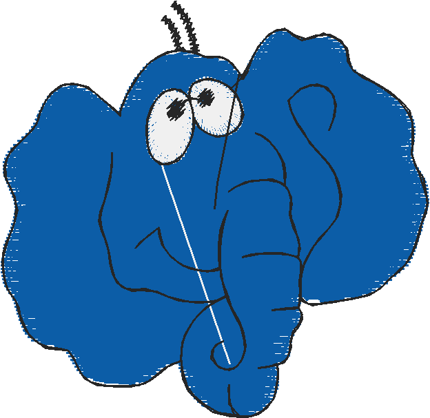 Animals 8 (7)