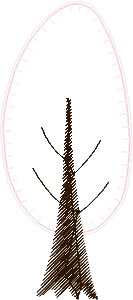 Appl011