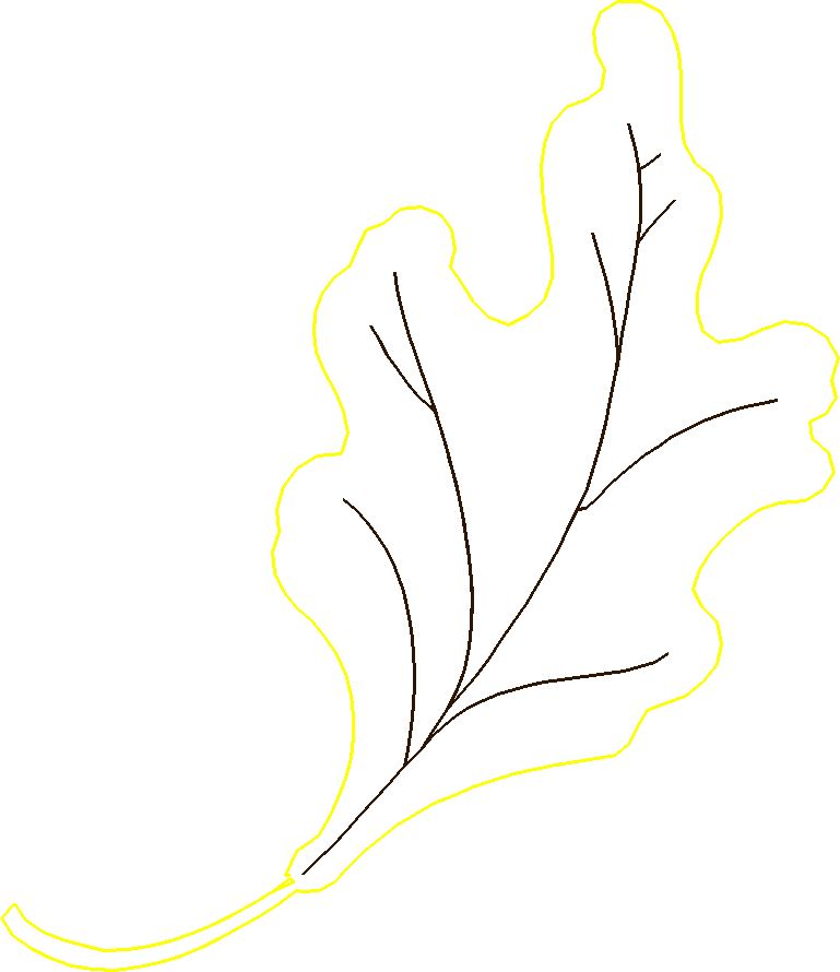 Oak1qt