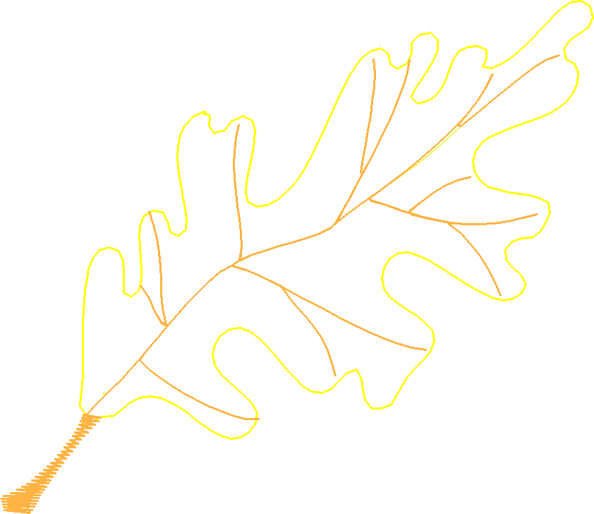 Oak2da