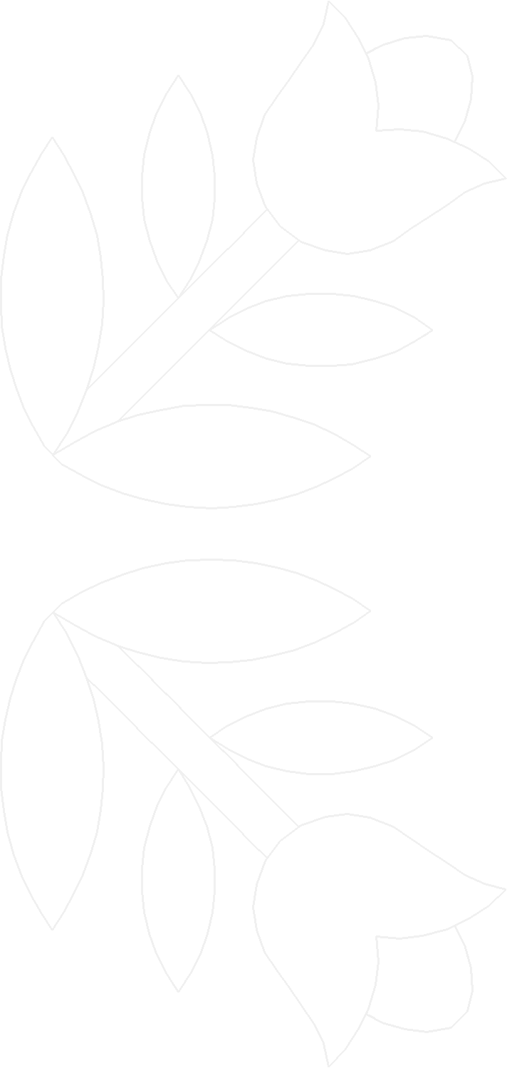 Card22037