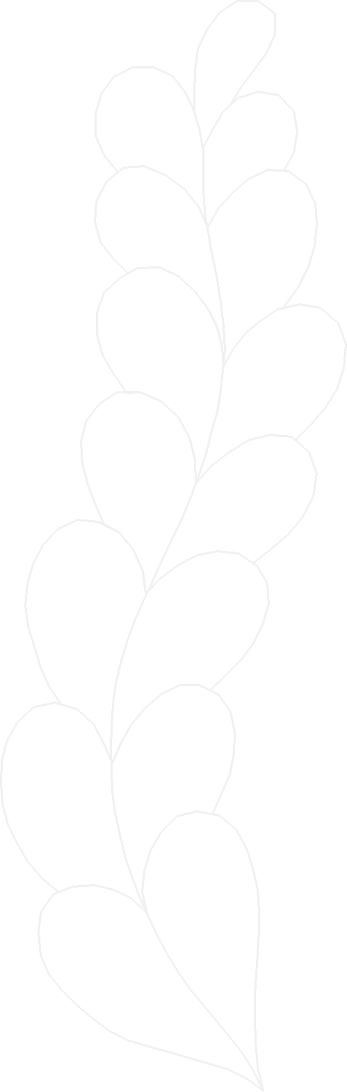 Card22050