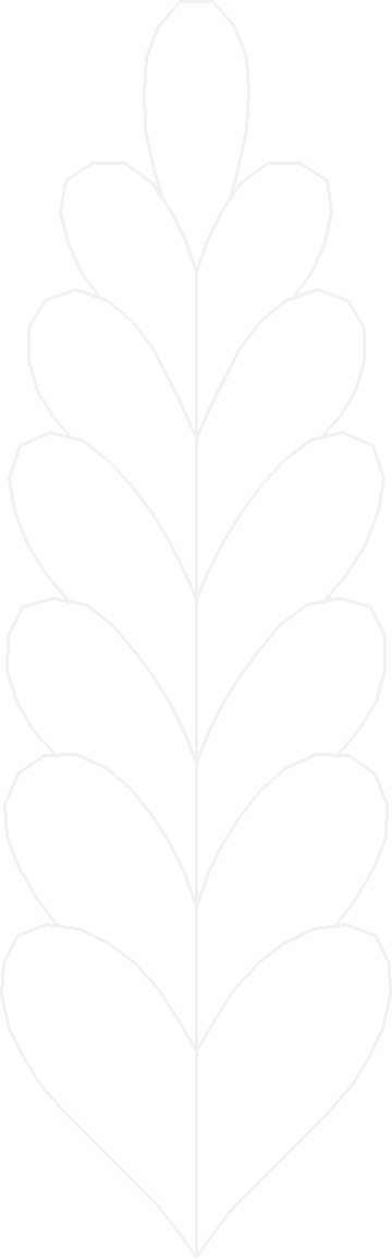 Card22053