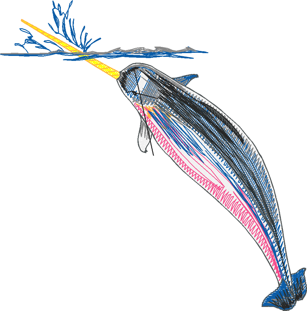 Aquatic 1 (15)