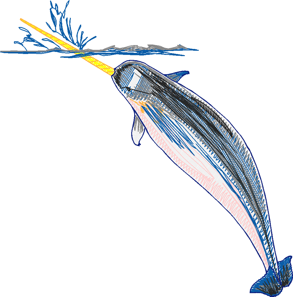 Aquatic 3  (20)
