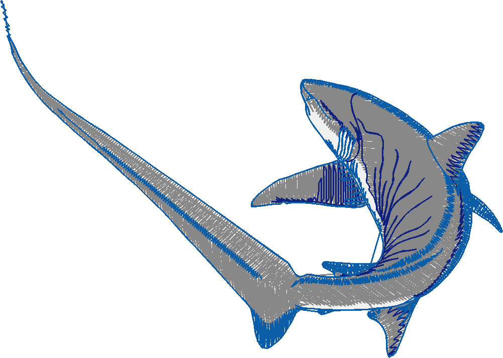 Aquatic 3  (7)