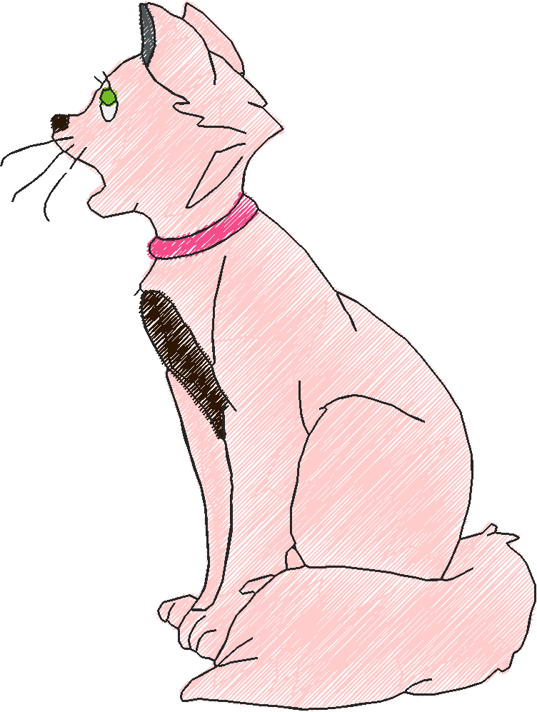 Momcat2