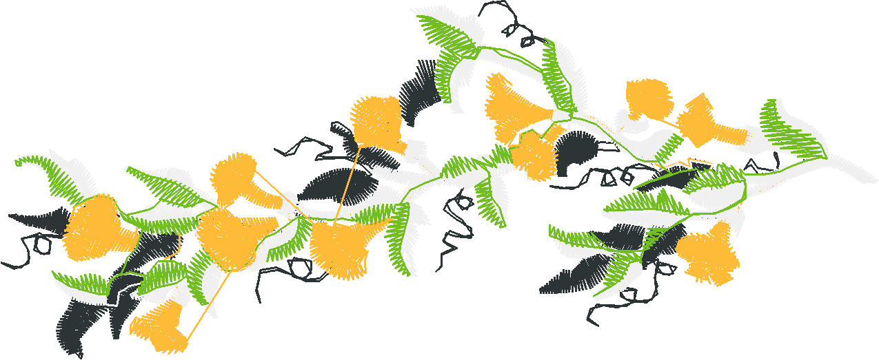 Bell Flowers