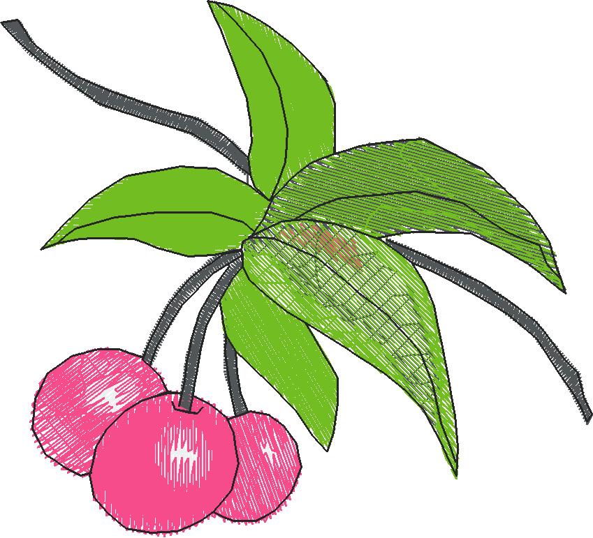 Cherries