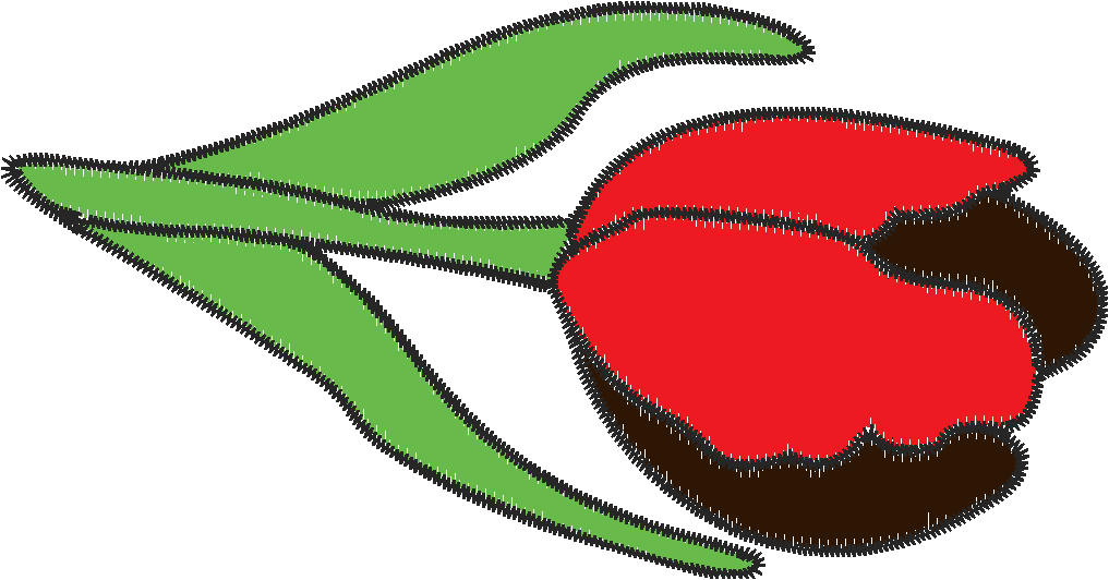 Tulip1