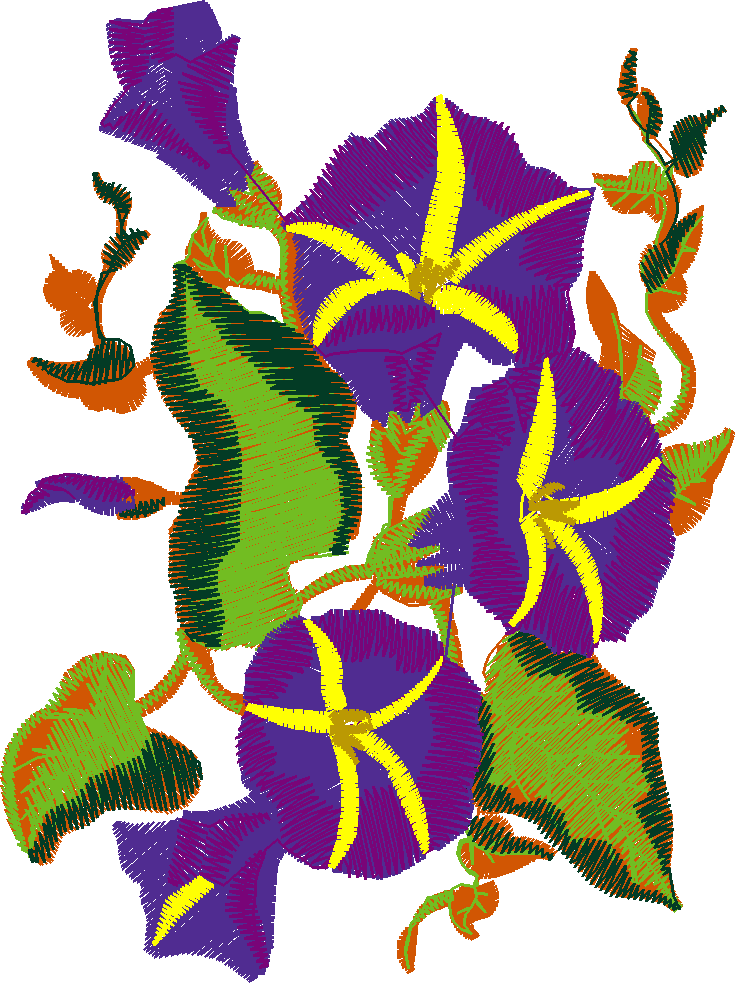 Assorted 6  (1)