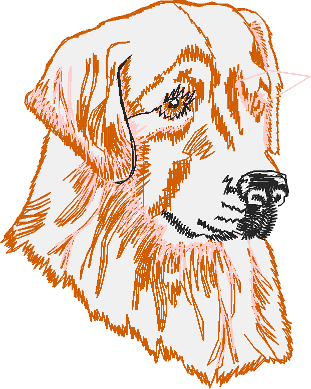 Hond4