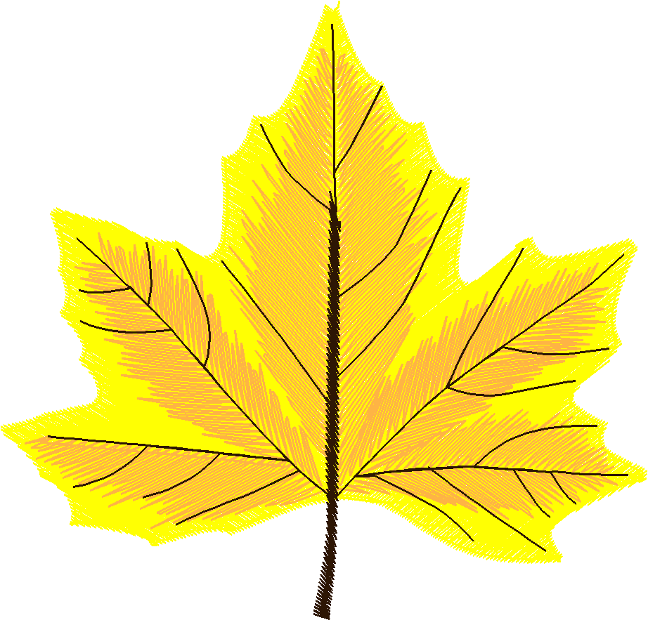 Autumn 2  (7)