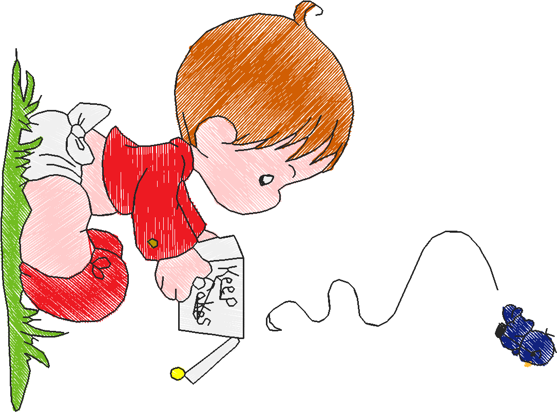 Boyandbird