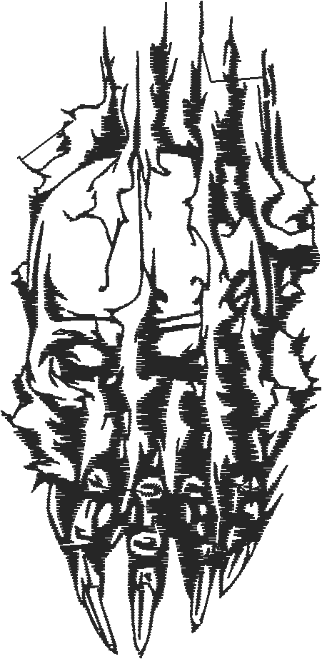 Skull Sm