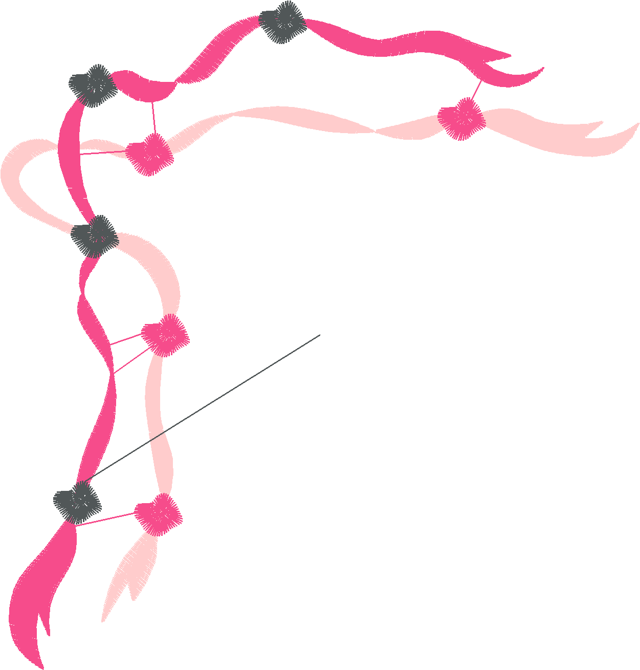 Ballet 1  (12)