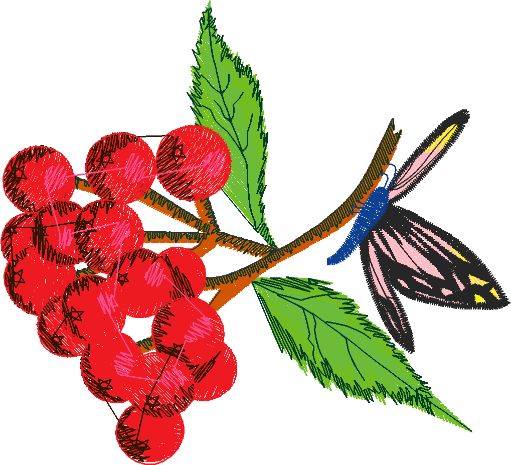 Berries 1 (11)