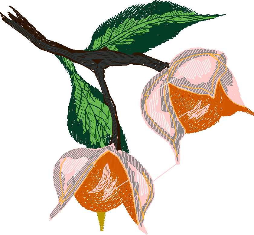 Berries 1 (6)