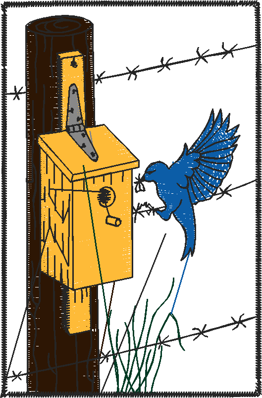 Bird Houses 2 (18)