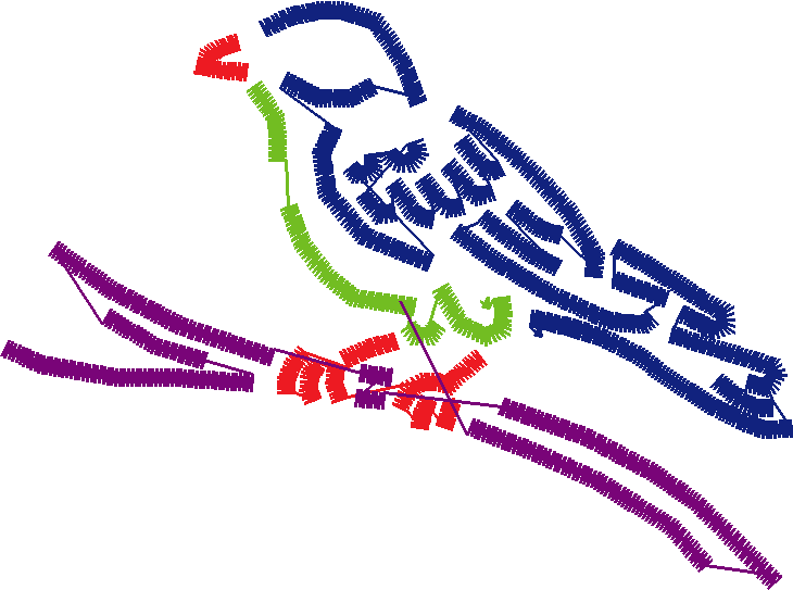 Birds 1 (160)