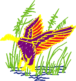 Birds 1 (24)