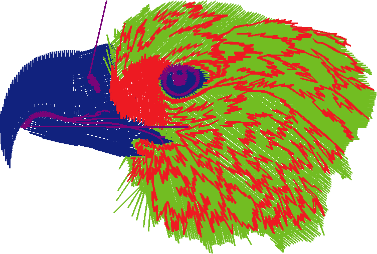 Birds 1 (42)
