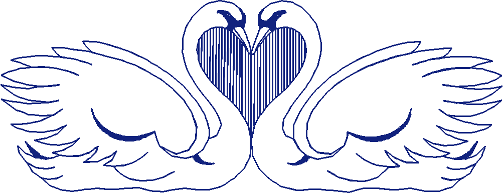 Birds 1 (65)