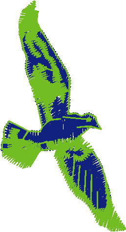 Birds 1 (97)
