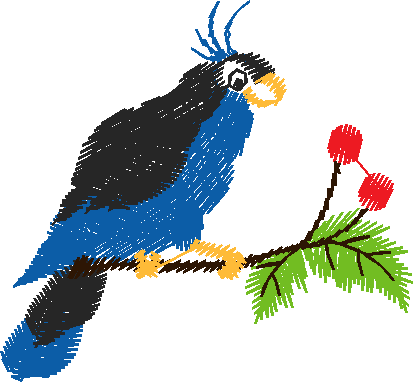 Birds 10 (14)