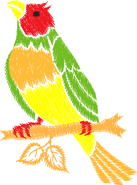 Birds 10 (15)