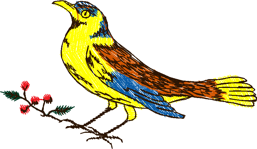 Birds 10 (17)