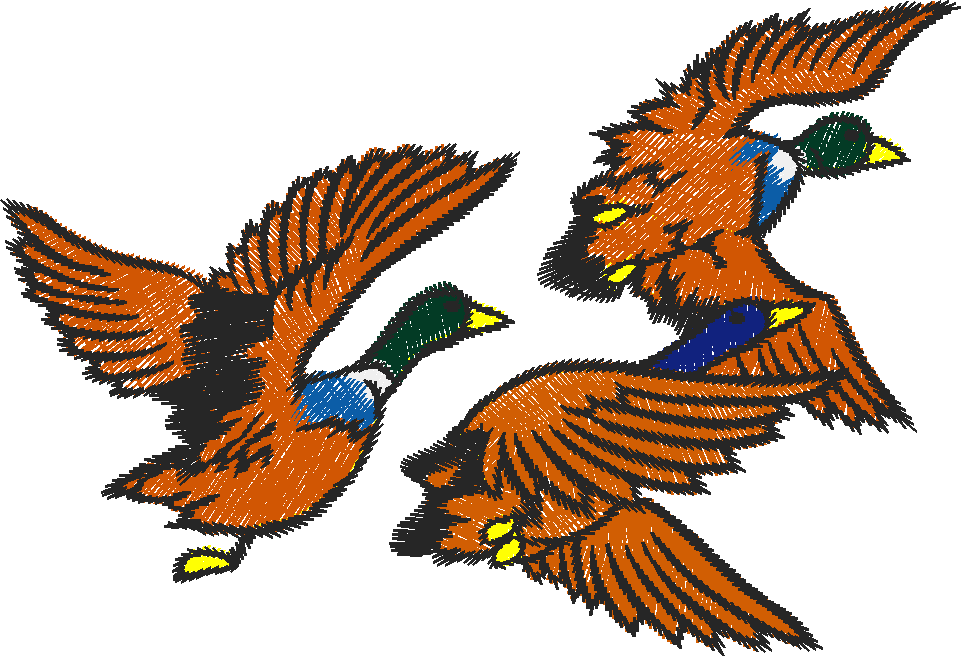 Birds 10 (2)