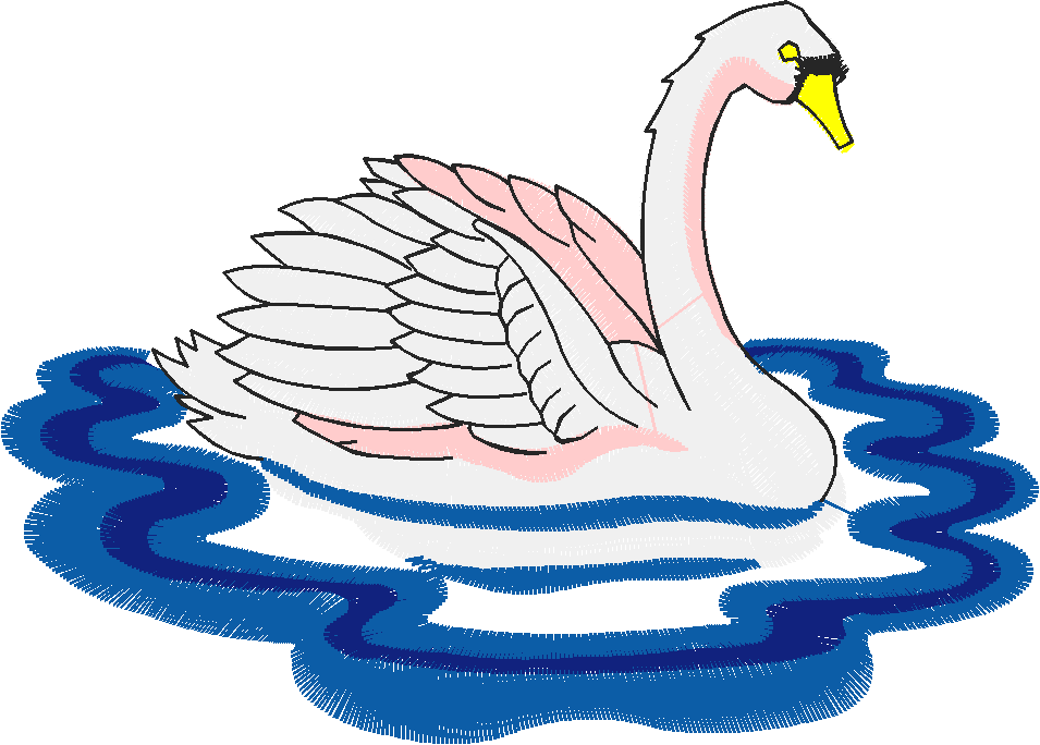 Birds 10 (24)