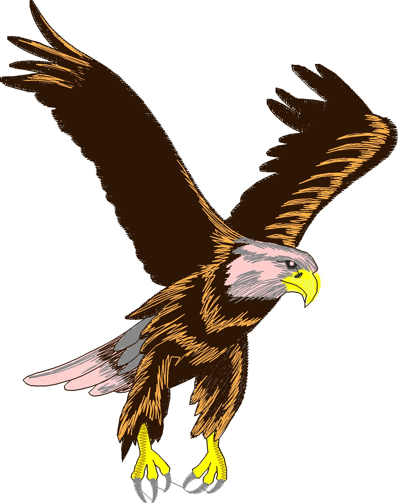 Birds 12 (12)