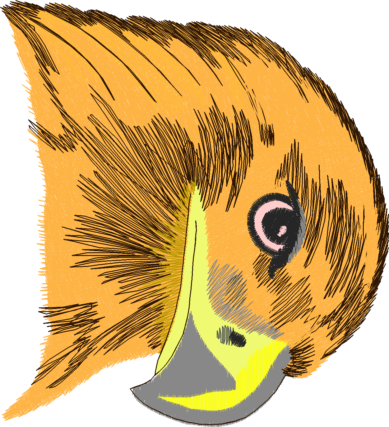 Birds 12 (16)