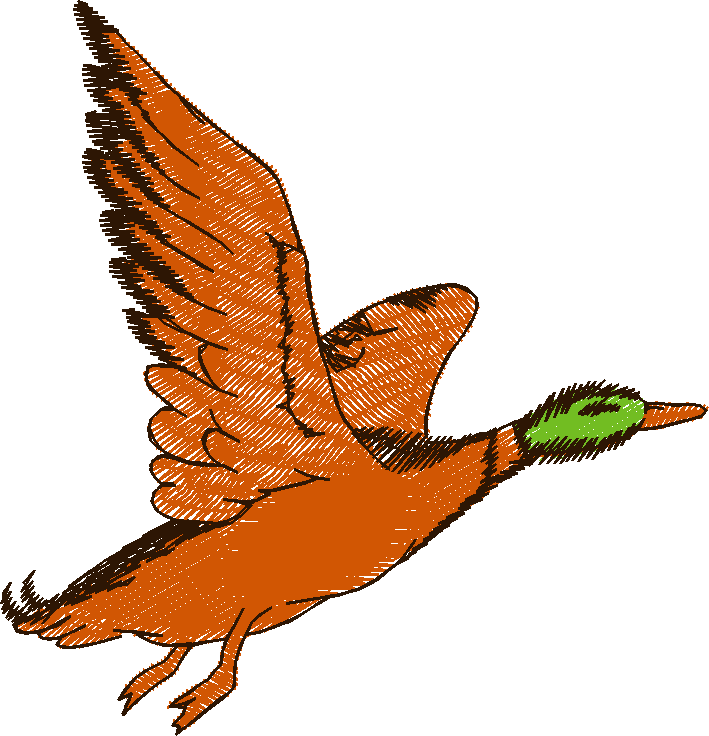Birds 13 (1)