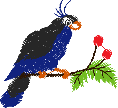 Birds 13 (14)