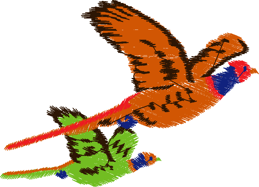 Birds 13 (21)