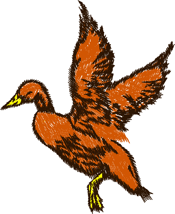Birds 13 (6)