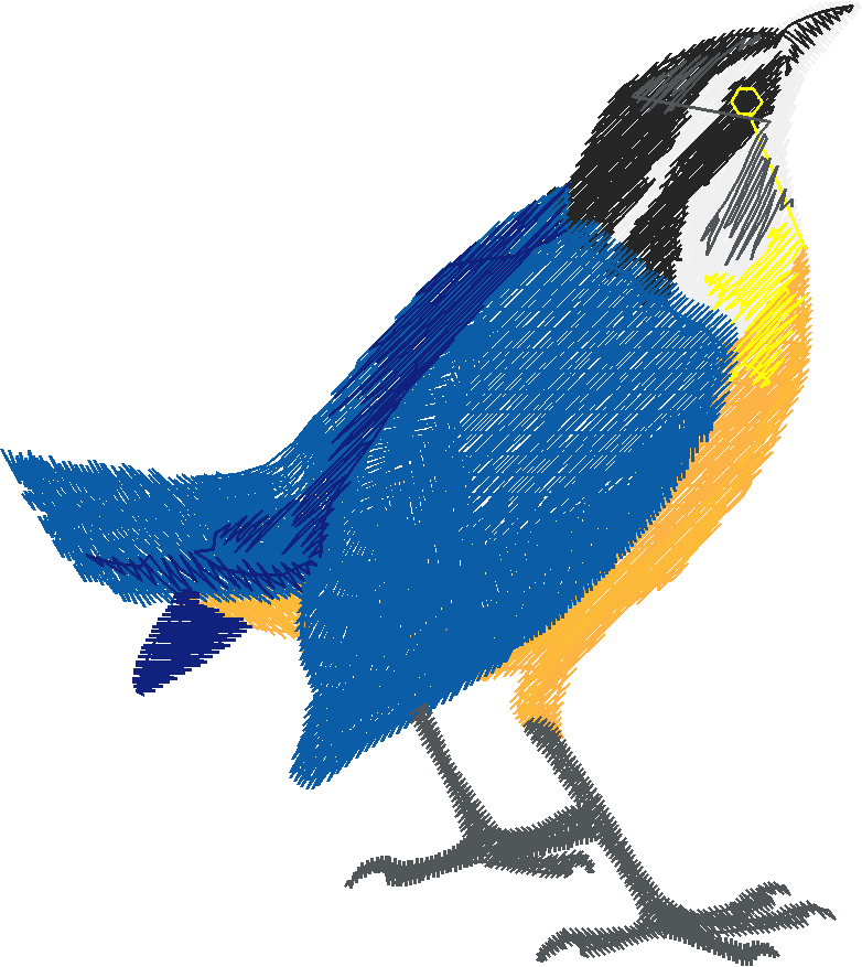 Birds 17 (11)